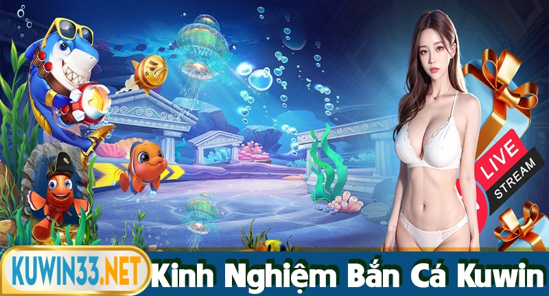 Kinh nghiệm chơi bắn cá tại cổng game Kuwin